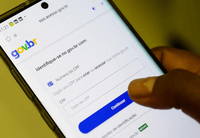 Sistema Gov.br não foi afetado por apagão cibernético e órgãos monitoram situação, diz governo
