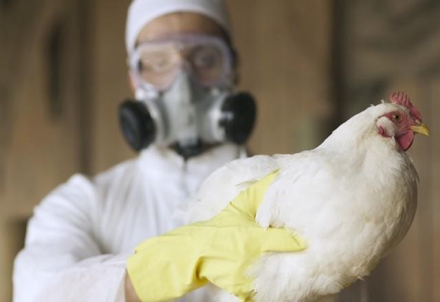 Imagem da noticia Medida provisória prevê R$ 135 milhões em recursos extras para enfrentamento de emergências sanitárias
