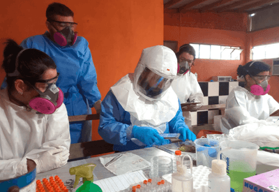 Paraná confirma dois casos de hantavírus e investiga outros 11