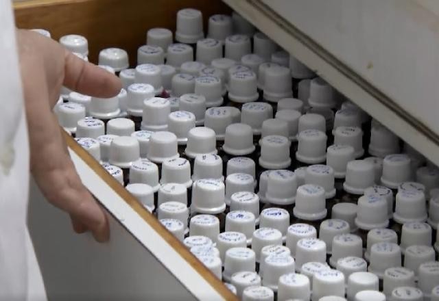Imagem da noticia Homeopatia é apenas placebo? Entenda a polêmica sobre o tema