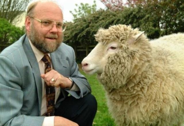 Imagem da noticia Cientista que criou a ovelha Dolly morre aos 79 anos