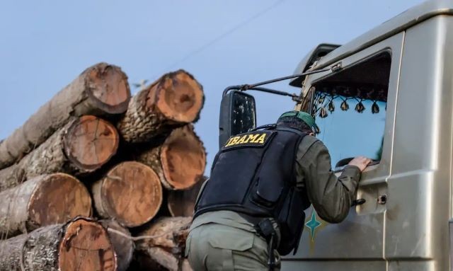 Imagem da noticia Ibama lança edital de concurso com 460 vagas e salário inicial de R$ 9,9 mil