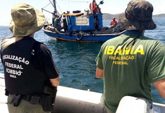 Imagem da noticia Governo deve apresentar proposta de reajuste para servidores do Ibama e ICMBio nesta semana