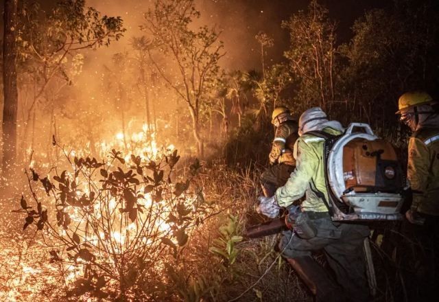 Imagem da noticia Ministério Público defende pena mais dura para queimadas e aciona União em estados afetados