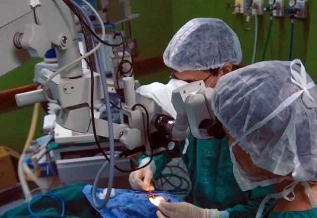 Imagem da noticia  Brasil registra recorde em transplante de órgãos