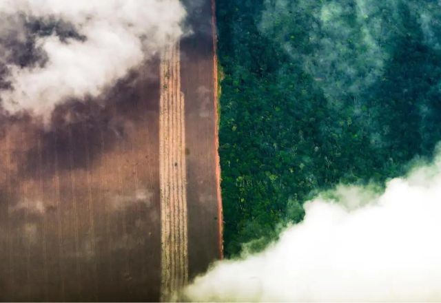 Imagem da noticia Desmatamento em terras protegidas na Amazônia é o menor registrado em 9 anos, diz Imazon