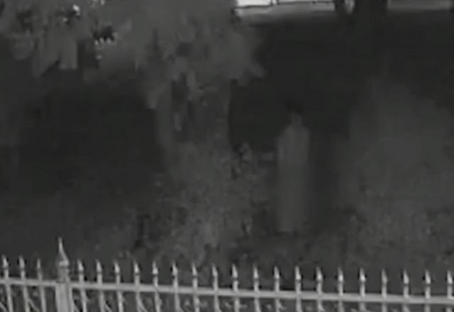 Imagem da noticia Homem é flagrado em ato de importunação sexual em Brasília