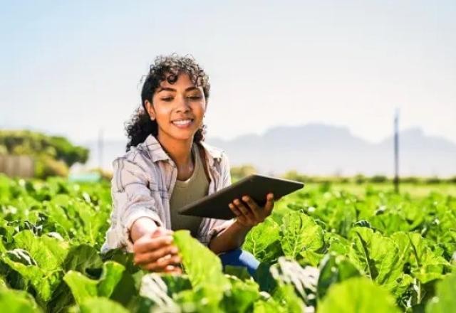 Imagem da noticia Desembolso de R$ 217 bi em crédito rural atinge 50% da meta do Plano Safra