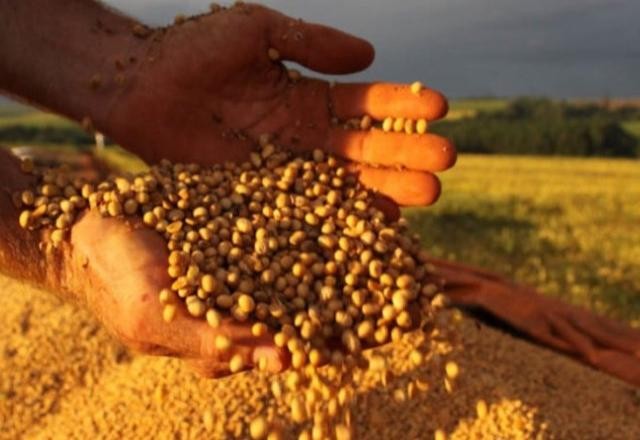 Imagem da noticia Saiba quais são as 100 cidades brasileiras mais ricas na produção agrícola
