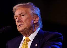 Imagem da noticia Poder Expresso: Trump diz que palestinos não teriam direito de voltar a Gaza; entenda
