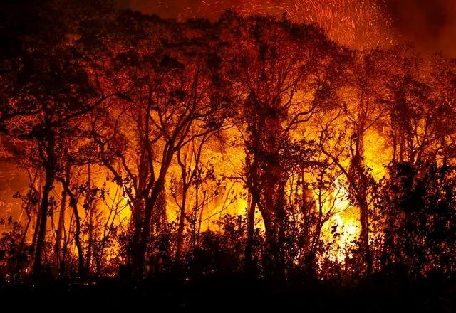 Imagem da noticia Lewandowski autoriza uso da Força Nacional para combater incêndios florestais em seis estados