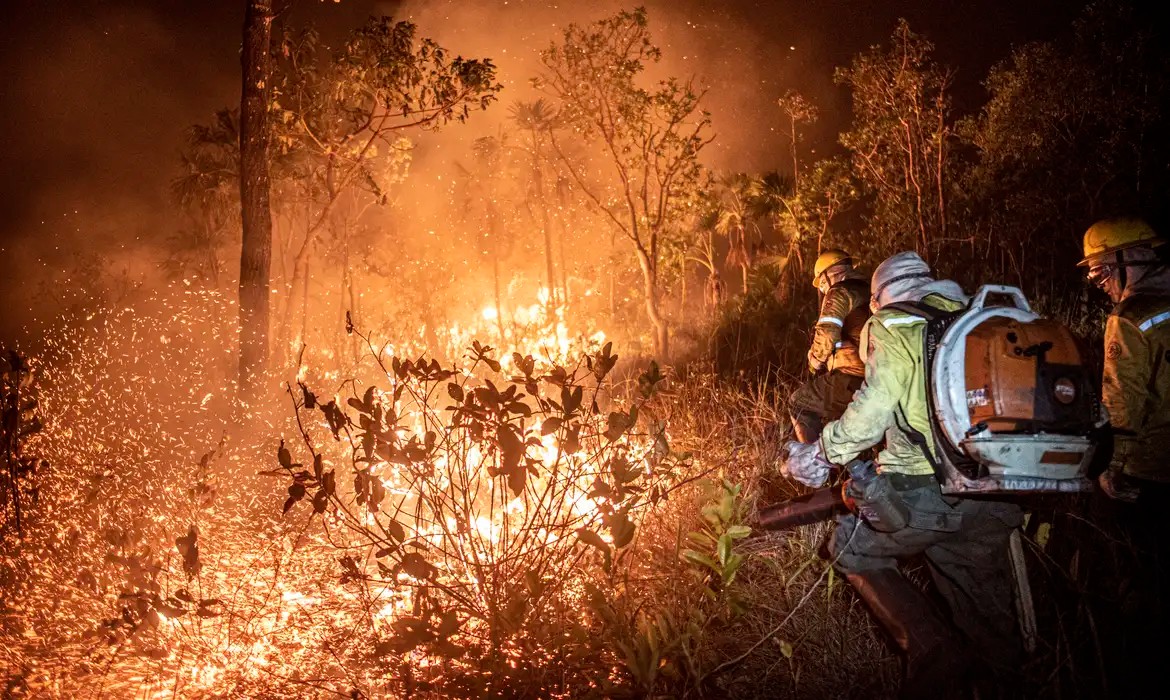 Com Brasil em chamas, deputados defendem anistia a bolsonaristas e ignoram incêndios