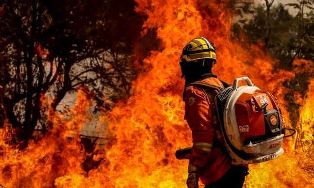 Brasil registra 8 mil focos de queimadas nas últimas 48 horas