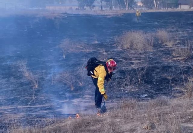 Imagem da noticia Rajadas de vento aumentam risco de incêndios em Los Angeles