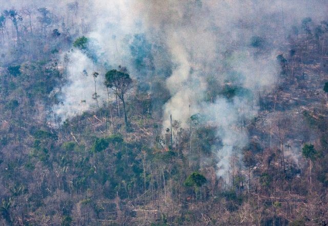 Imagem da noticia Amazônia: incêndios em florestas públicas não destinadas aumentam 64% em 2024