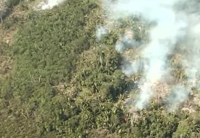 Imagem da noticia SBT sobrevoa área que teve desmatamento equivalente a 11 mil campos de futebol