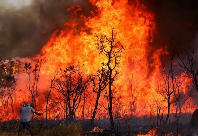 Força-tarefa investiga ação criminosa em incêndio no Parque Nacional de Brasília