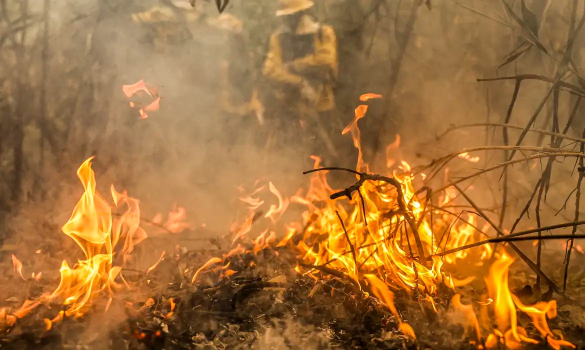 Incêndios no Pantanal foram zerados e continuarão sob monitoramento, diz governo no MS