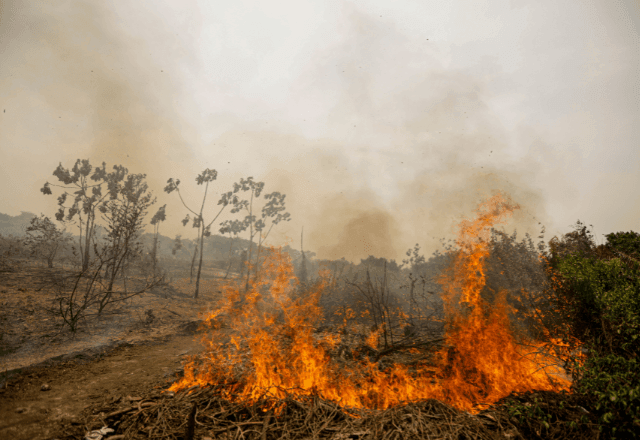 Governo discute medidas de prevenção e combate aos incêndios no Pantanal