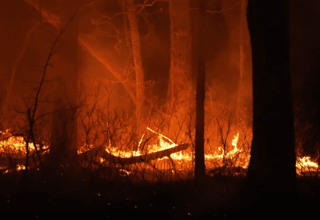 Imagem da noticia Incêndio florestal faz mais de três mil deixarem suas casas em Nova Jersey, nos EUA