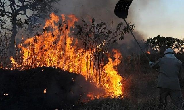 Imagem da noticia Após determinação de Dino, Ministério da Justiça convoca 150 bombeiros para combater incêndios