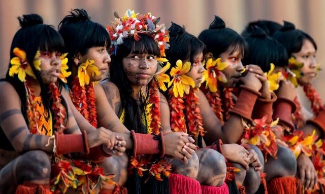 Brasil registra 208 assassinatos de indígenas em 2023 