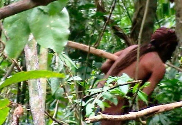 Imagem da noticia Morre último remanescente de grupo indígena isolado na Amazônia
