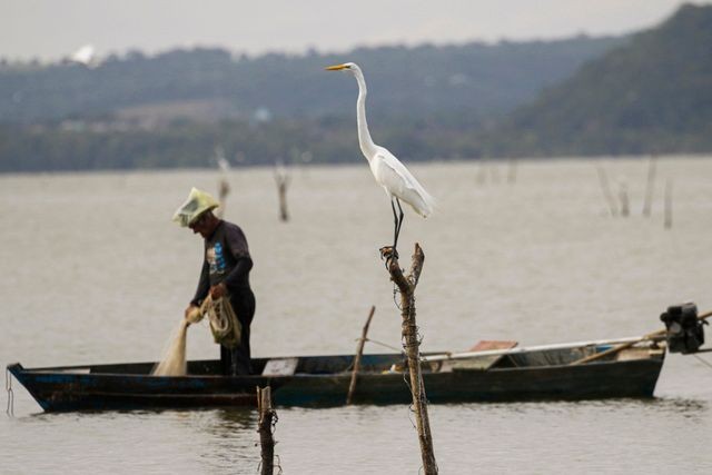 Imagem da noticia Governo deve liberar pagamento do seguro defeso a pescadores afetados pela seca