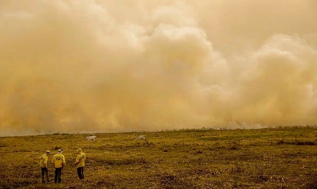 Imagem da noticia Flávio Dino determina ação conjunta de polícias e Forças Armadas para combater incêndios florestais 