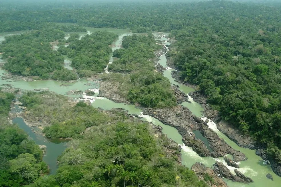 Imagem da noticia Câmara aprova redução da Floresta Nacional do Jamanxim em área protegida da Amazônia