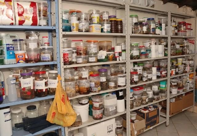 Imagem da noticia Laboratório é interditado por guardar órgãos humanos em potes de doces