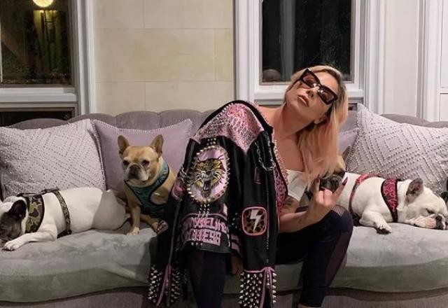 Imagem da noticia Homem que baleou passeador e roubou cães de Lady Gaga é condenado nos EUA