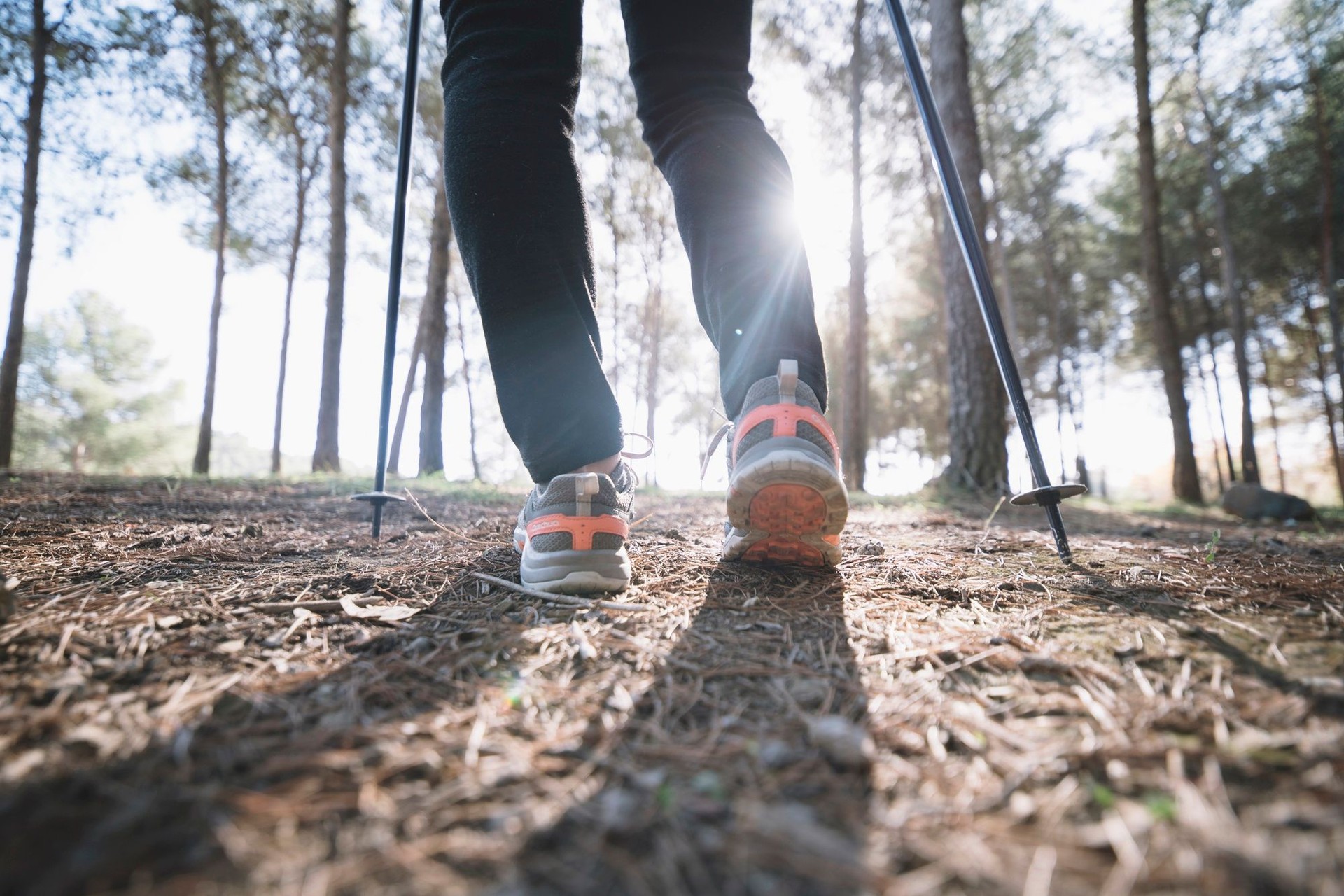 Imagem da noticia Dia do Atleta: cinco maneiras de tornar suas caminhadas diárias ainda mais proveitosas