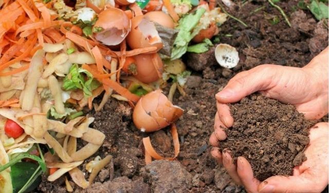 Imagem da noticia Franceses vão transformar todo lixo orgânico em fertilizantes e biogás