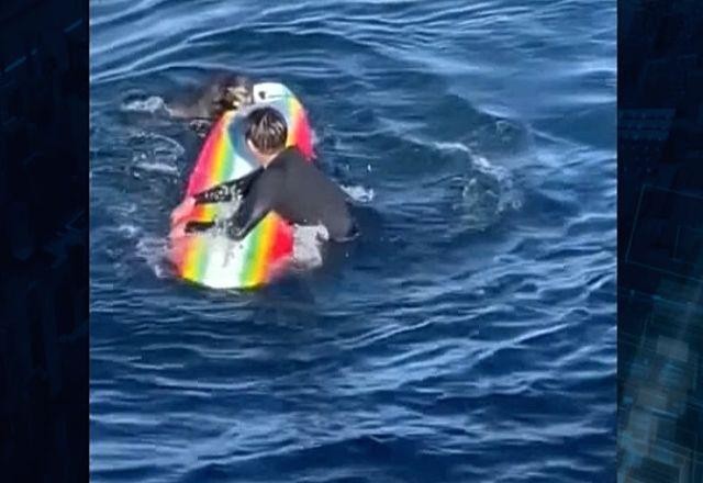 Imagem da noticia EUA: Lontra rouba e danifica equipamentos de surfistas na Califórnia