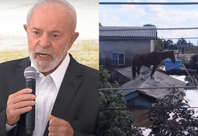 Imagem da noticia Cavalo Caramelo: Lula diz que foi "dormir inquieto com a imagem” e comemora resgate