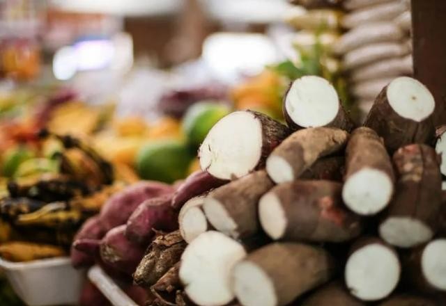 Imagem da noticia Dia da Amazônia: produção agrícola cresce no bioma