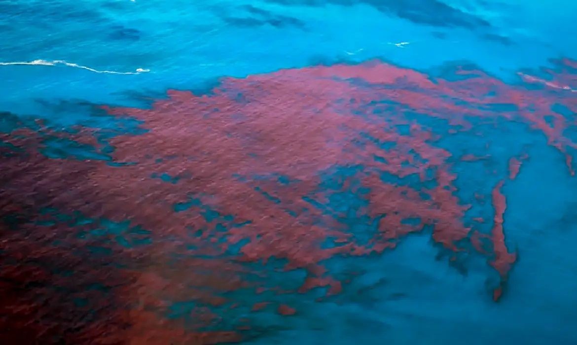 Imagem da noticia Maré vermelha tinge água do mar e intoxica 338 pessoas em Pernambuco