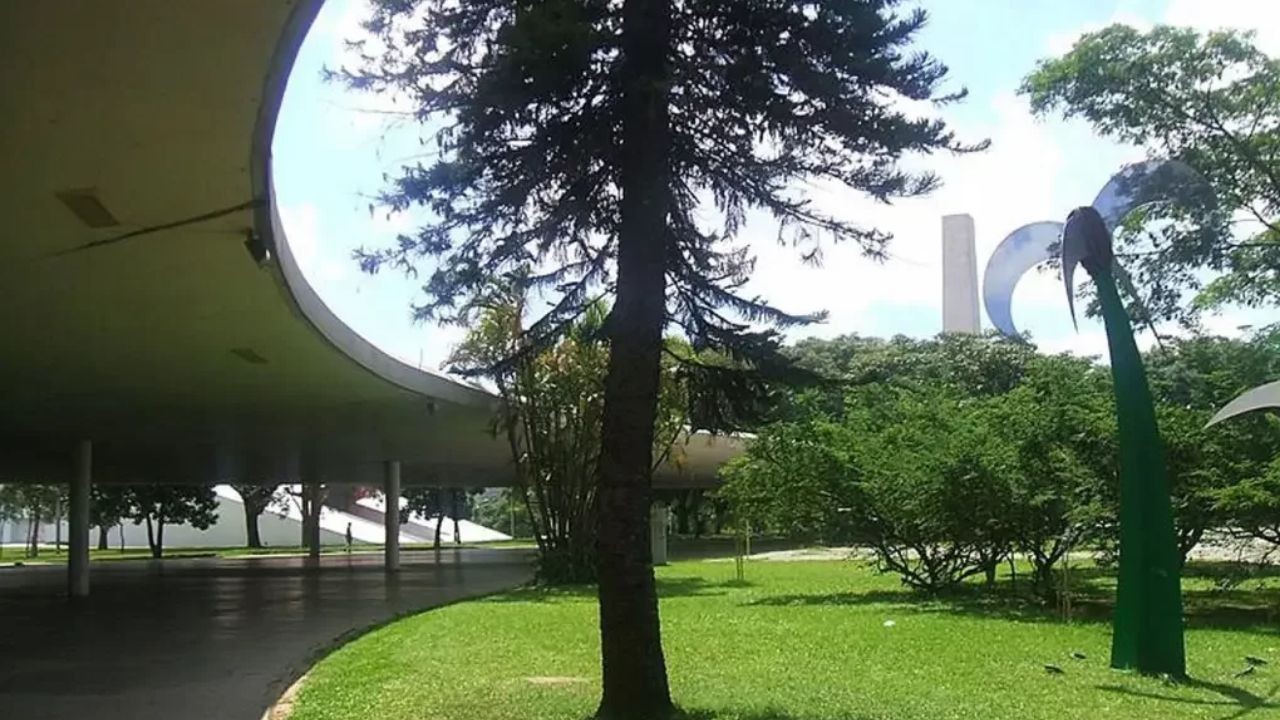 Imagem da noticia Chuva em SP: queda de estrutura metálica no Ibirapuera deixa quatro feridos