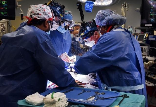 Imagem da noticia Homem recebe coração de porco em transplante pela primeira vez