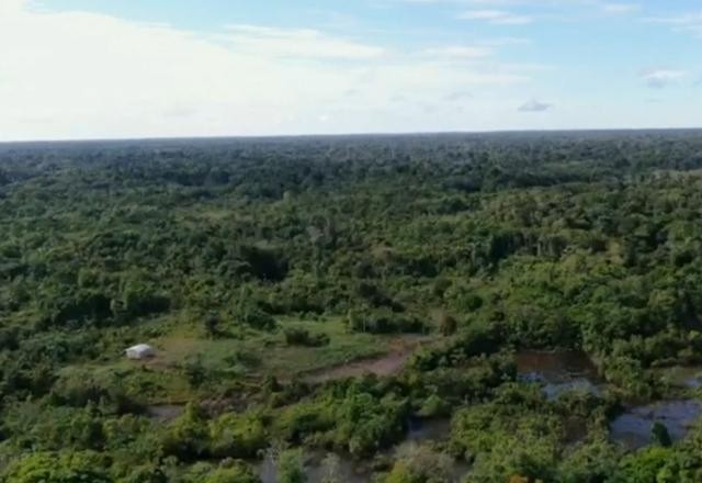 Imagem da noticia Em dez anos, 383 pessoas foram assassinadas em conflitos agrários no Brasil