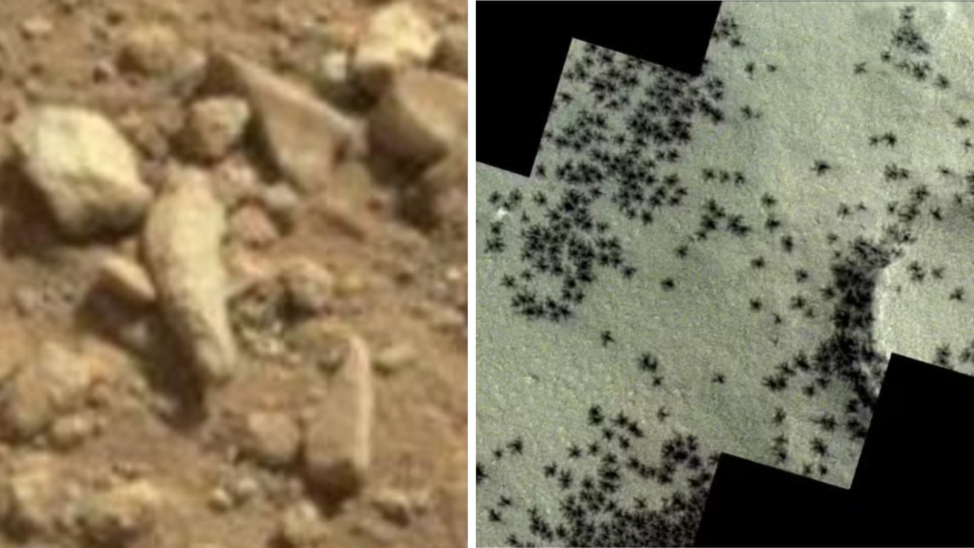 Imagem da noticia Aranhas e dedos em Marte, prancha na Lua e outras "descobertas" no espaço