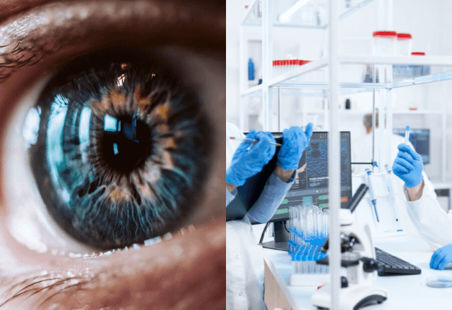 Imagem da noticia Cientistas anunciam descoberta de nova cor que ninguém viu antes