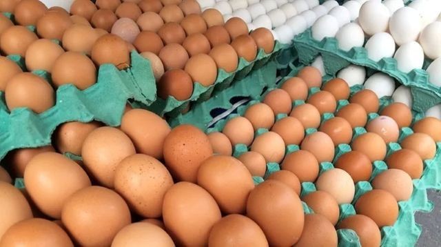 Imagem da noticia Deputados querem derrubar portaria que exige data de validade carimbada em ovos