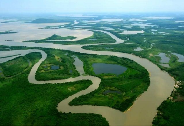 Imagem da noticia Senado aprova projeto que traz regras para a conservação e recuperação do Pantanal