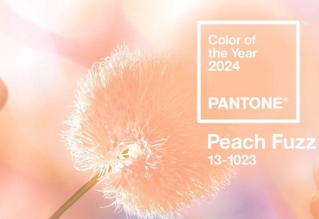 Imagem da noticia Pantone divulga a cor do ano para 2024: Peach Fuzz