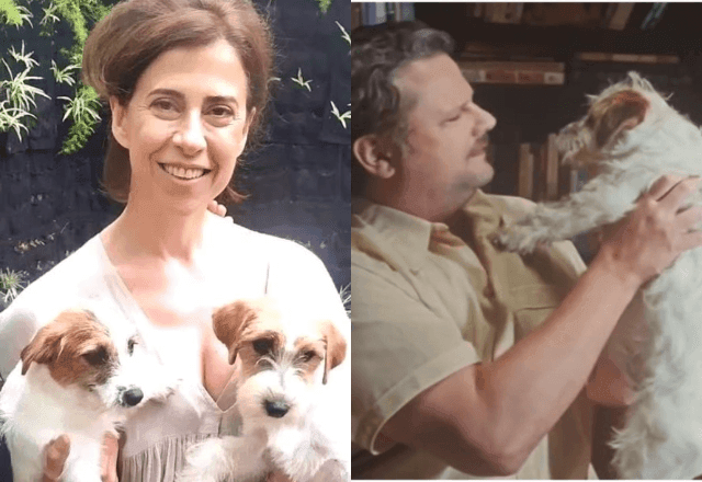Imagem da noticia Cães do filme "Ainda Estou Aqui" vencem prêmio no Oscar canino