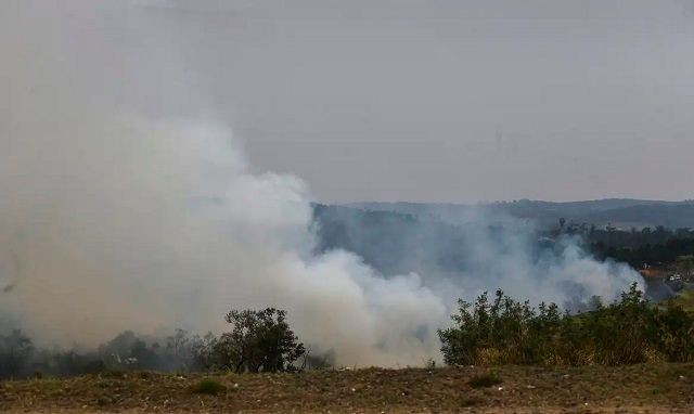 Imagem da noticia Amazônia bate recorde de queimadas em menos de um mês: 2,5 milhões de hectares