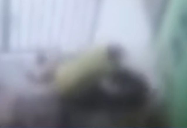 Imagem da noticia Dono de cadela protege animal de ataque de pitbull em MG  