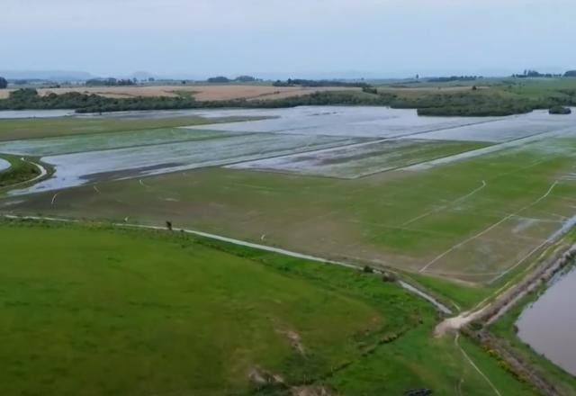 Chuva atrasa plantio de arroz no Rio Grande do Sul